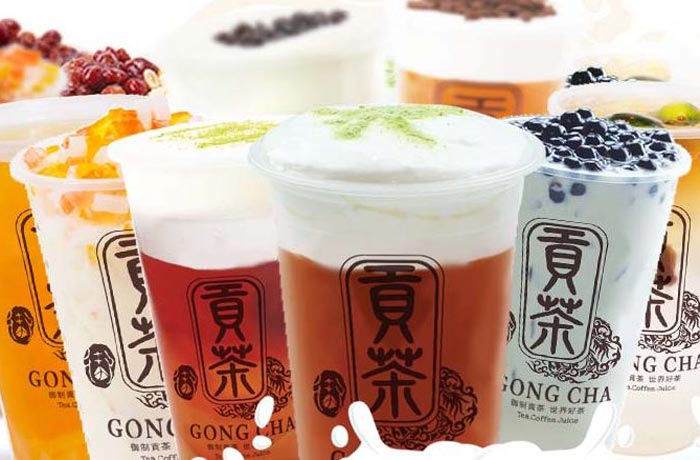 易县贡茶培训